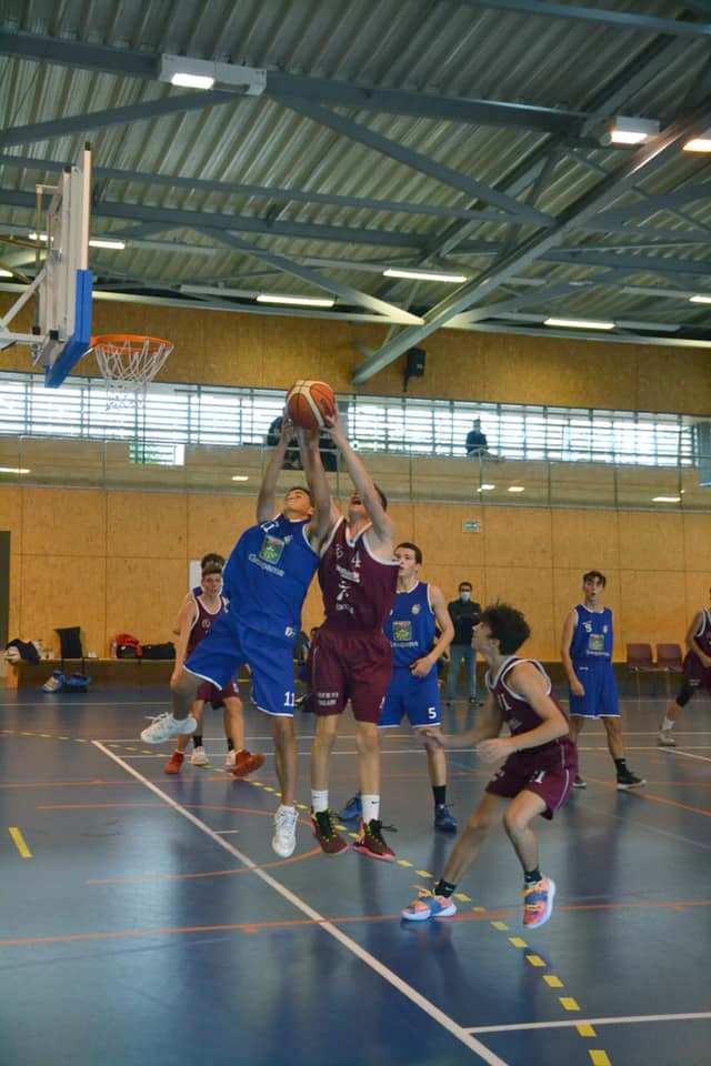 Basket Vallon